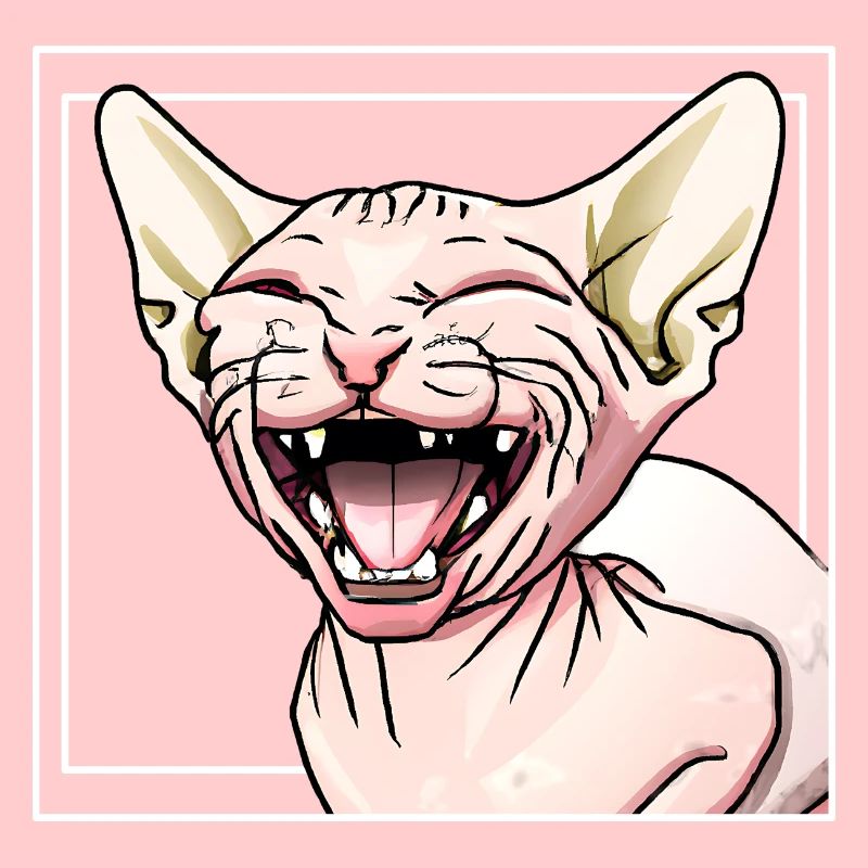 Chat Sphynx