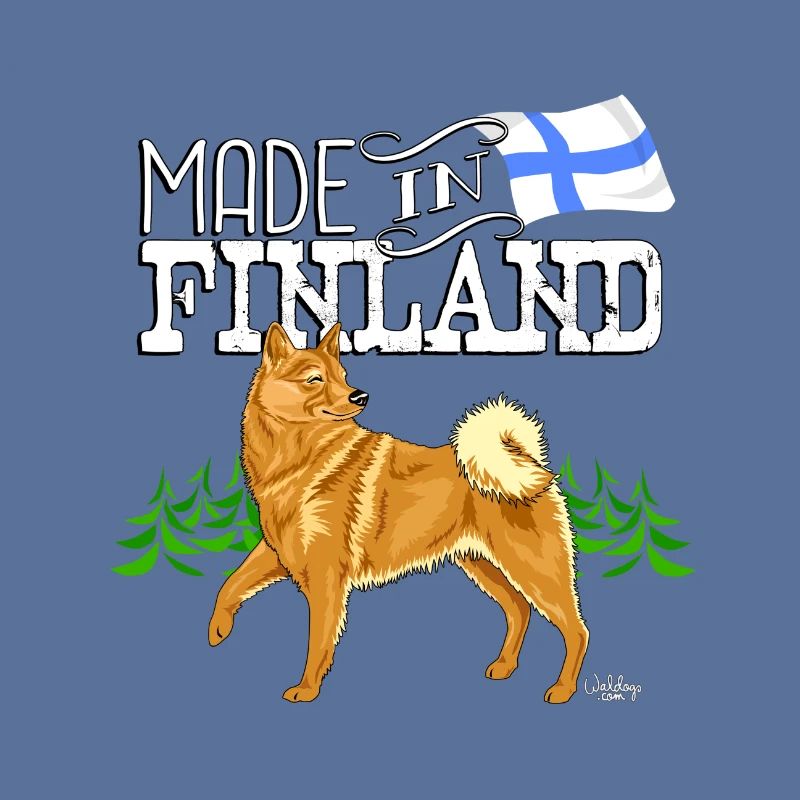 Oreille de Spitz Finlandaise Made2