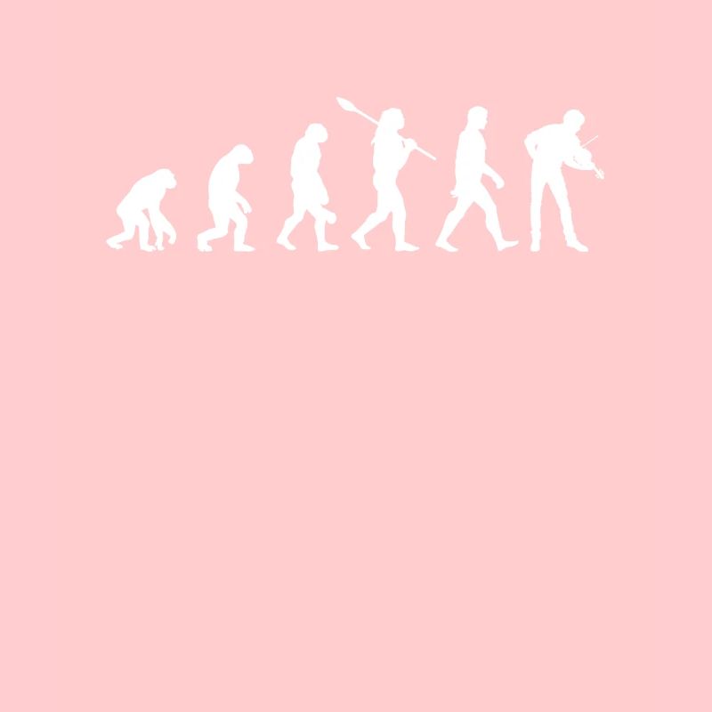 Geige Violine Evolution