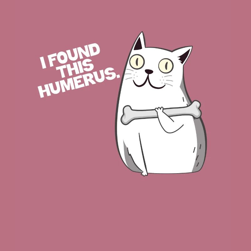 Cat bone humerus