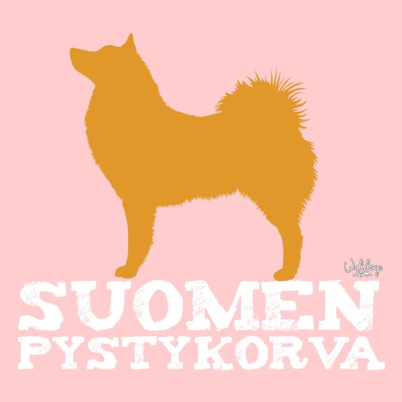 Spitz finlandais