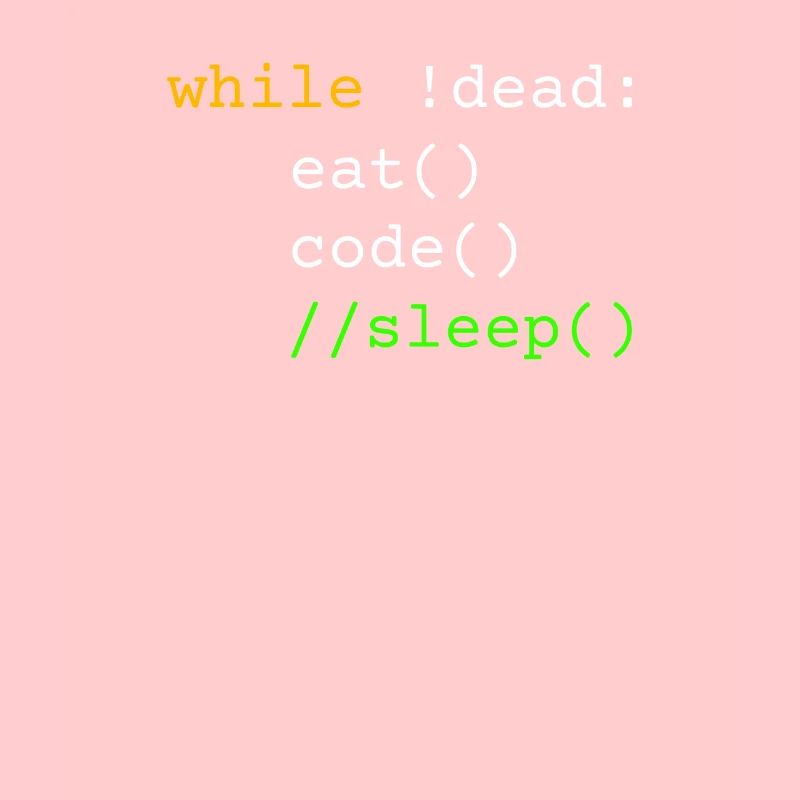 Programmierer Geschenk