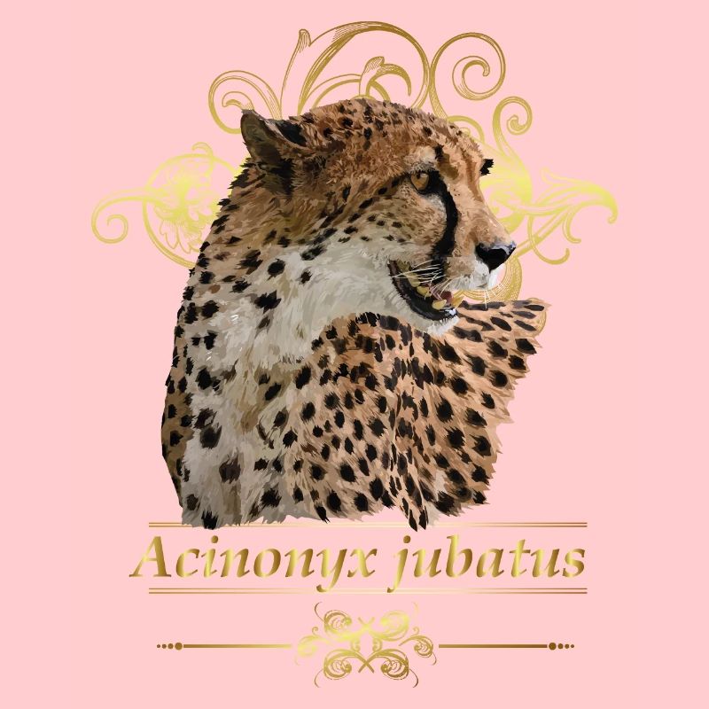 cheetah