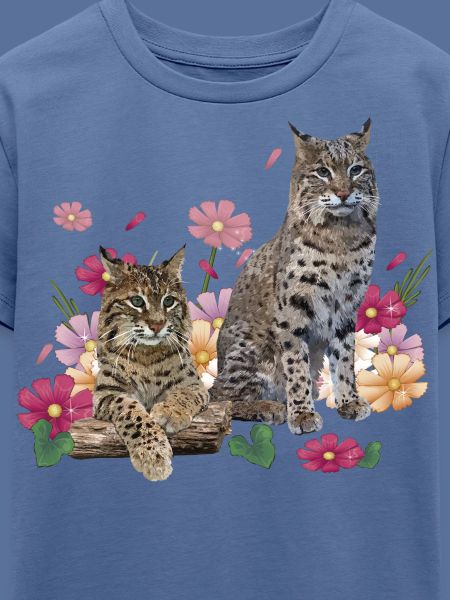Luchs