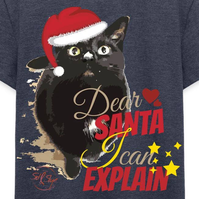 Katze "Dear Santa"