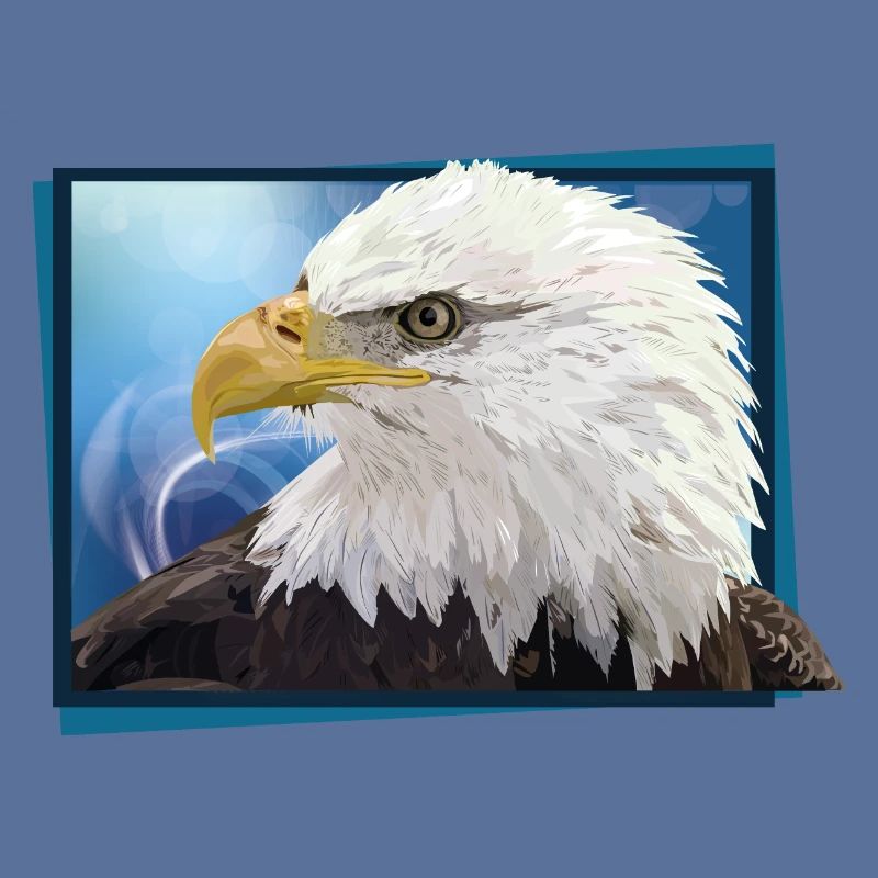 Bald eagle