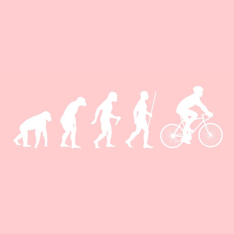 2561 Evolution Bike2