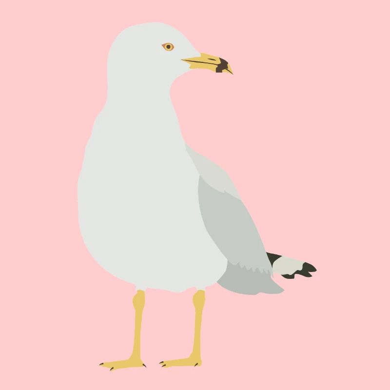 Möwe