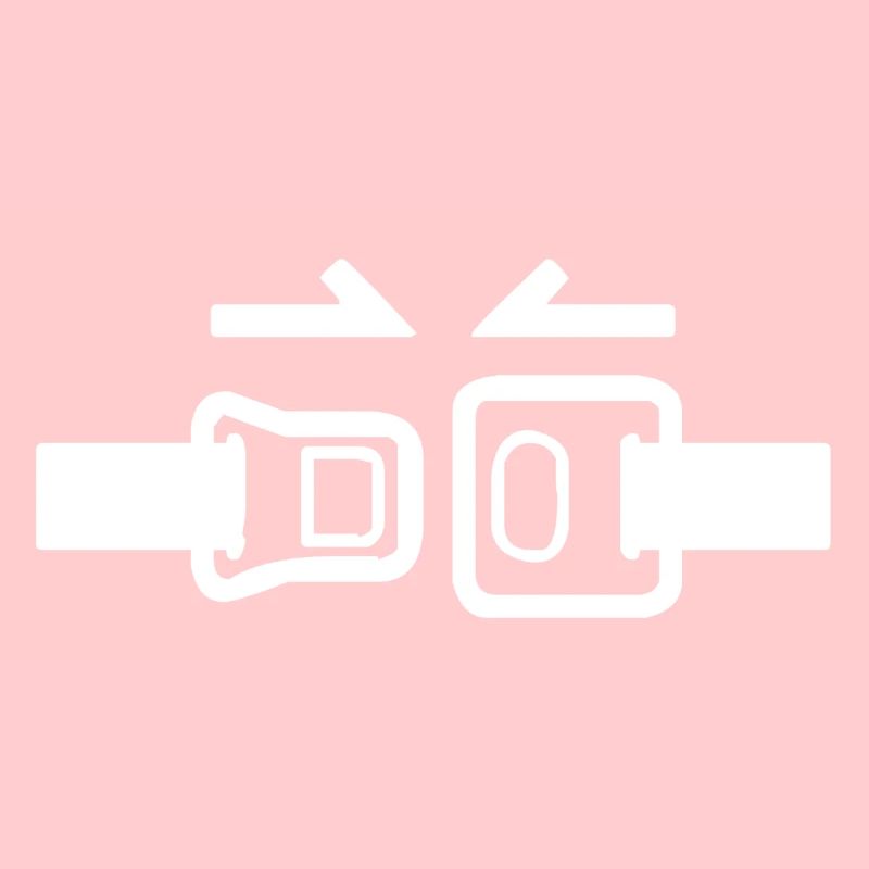 Fast seatbelt