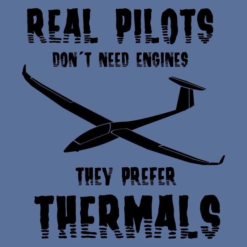 Glider glider flying glider pilot