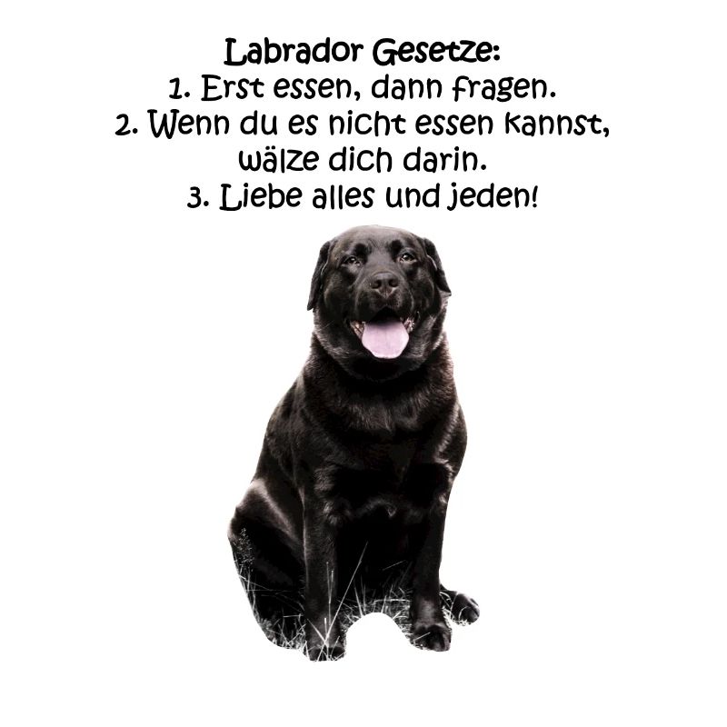 Die Gesetze eines Labradors