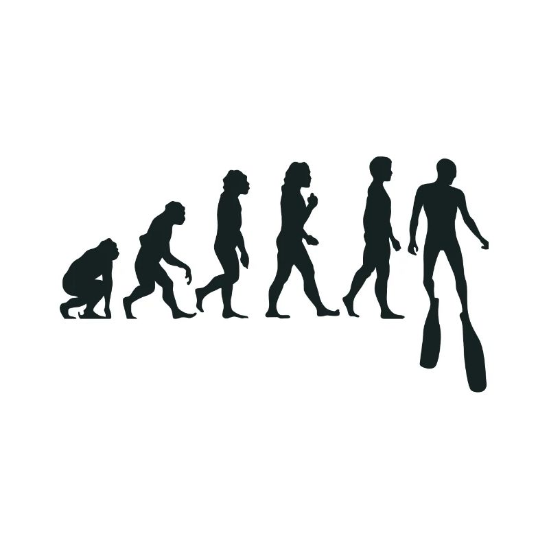 Plongée en apnée Evolution Apnoetauchers