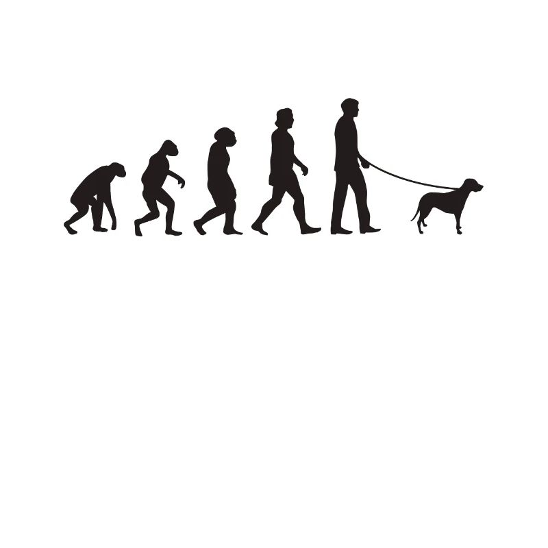 Brandlbracke Evolution Bracke Hund Jagdhund