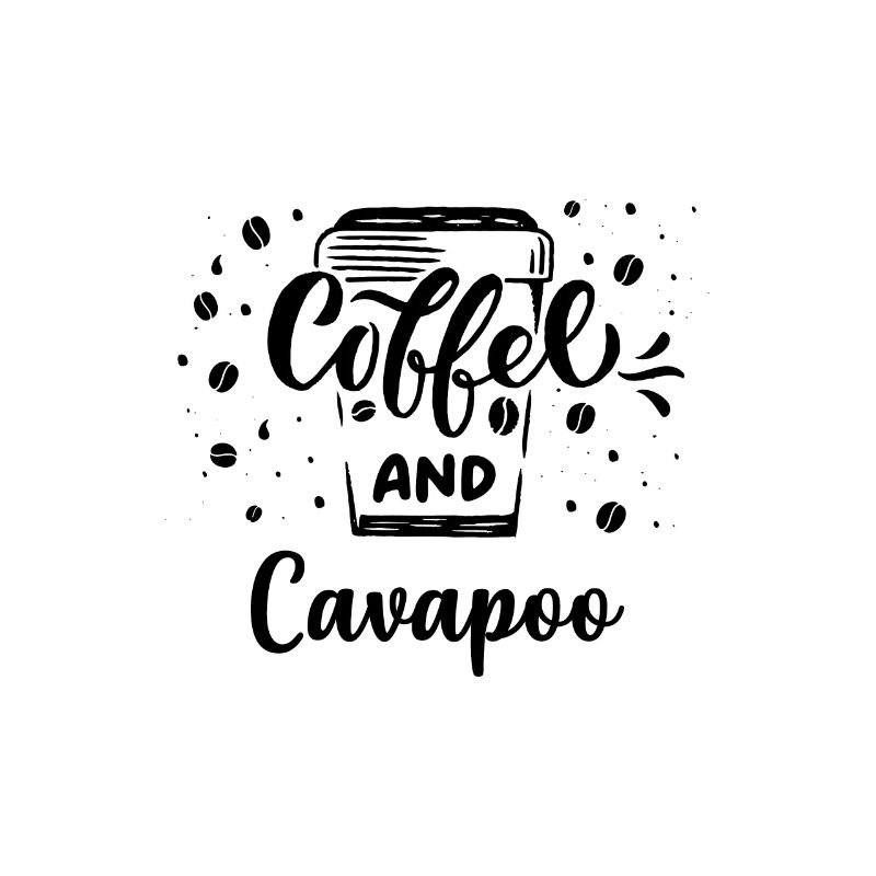Cavapoo