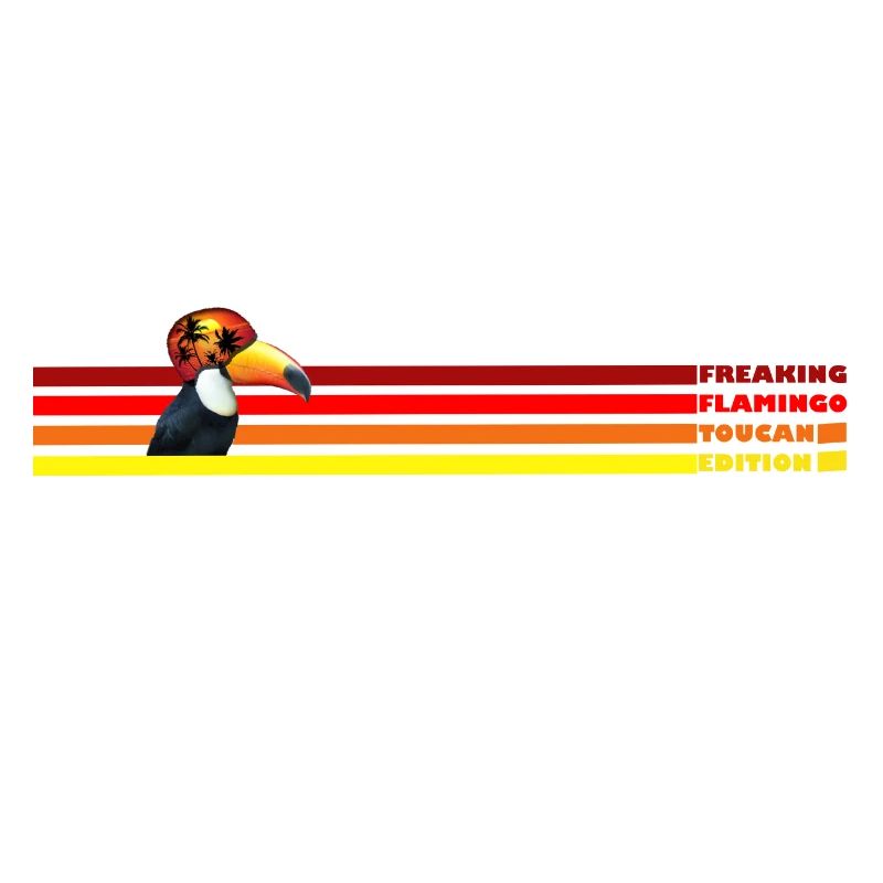 Toucan et rayures