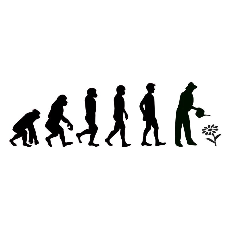 Evolution Gärtner schwarz