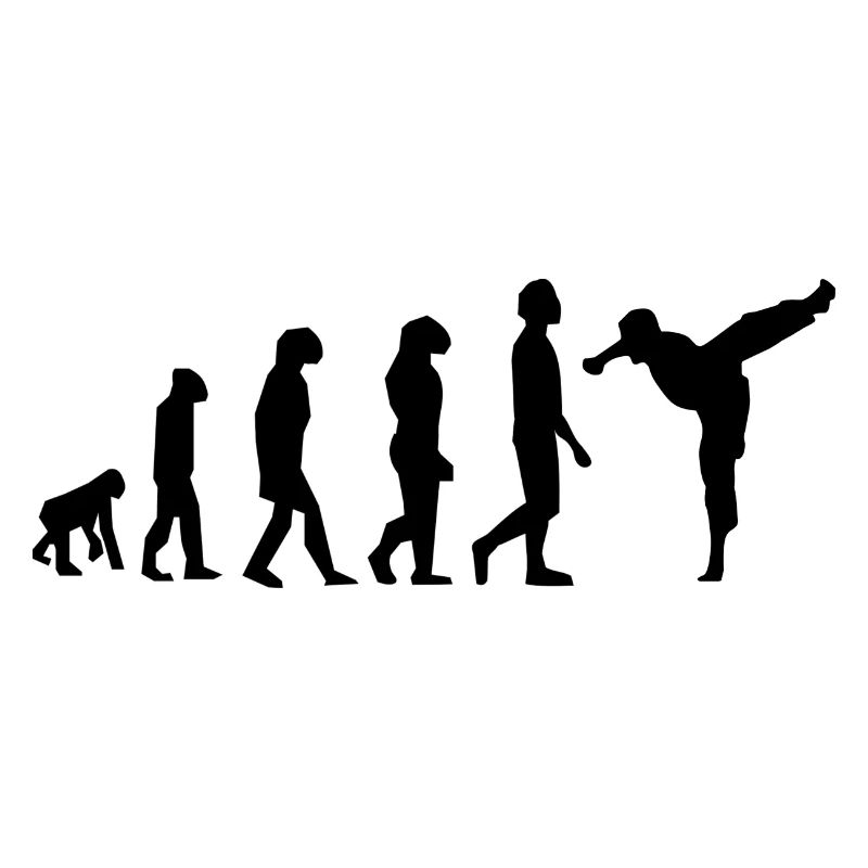 Evolution der Kampfkünste