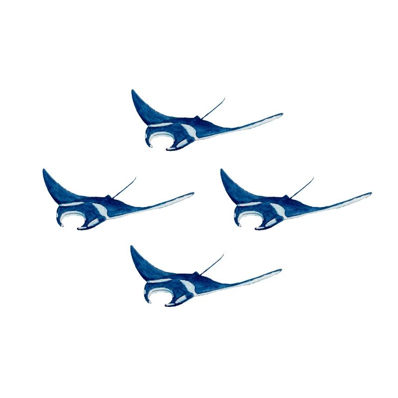 4 Mantarochen