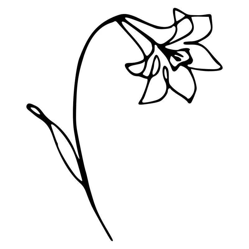 narcisse