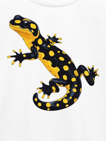Feuersalamander Salamander