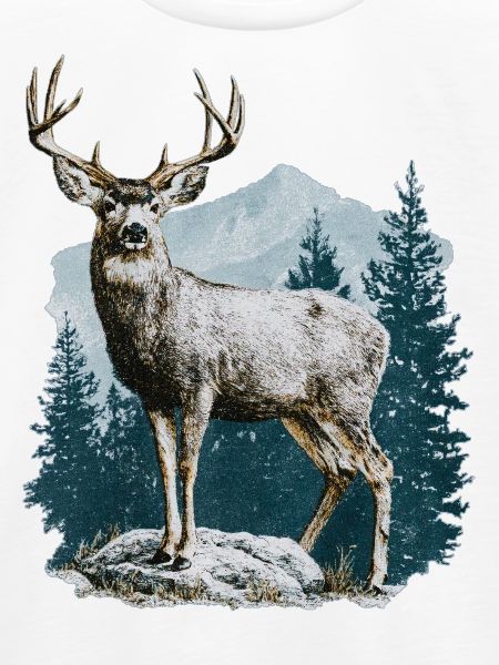 Hirsch mit Geweih