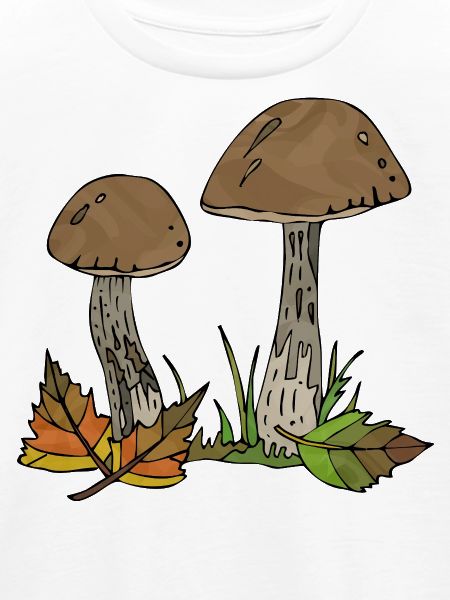 Pilze