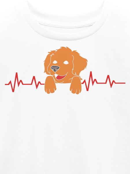 Boykin Spaniel