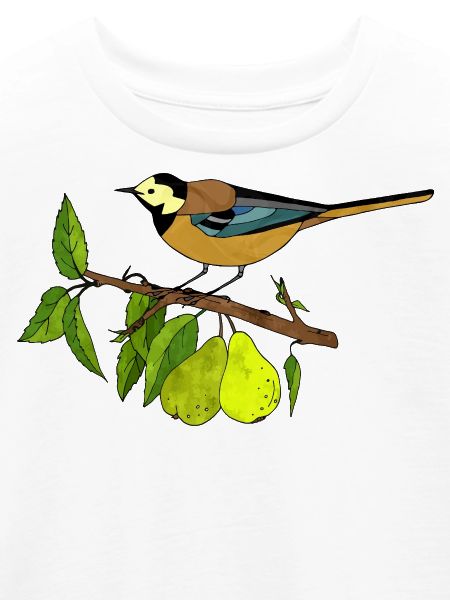 Bunter Vogel