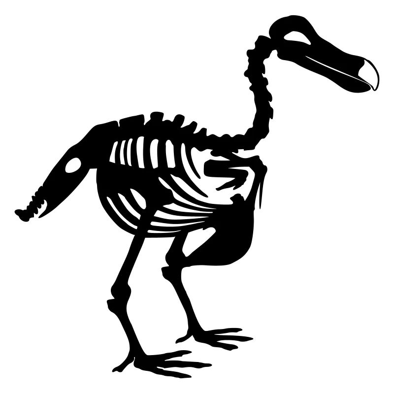 Dodo