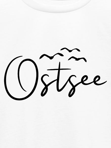 Ostsee Möwen