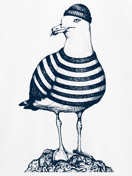 Möwe mit Pulli