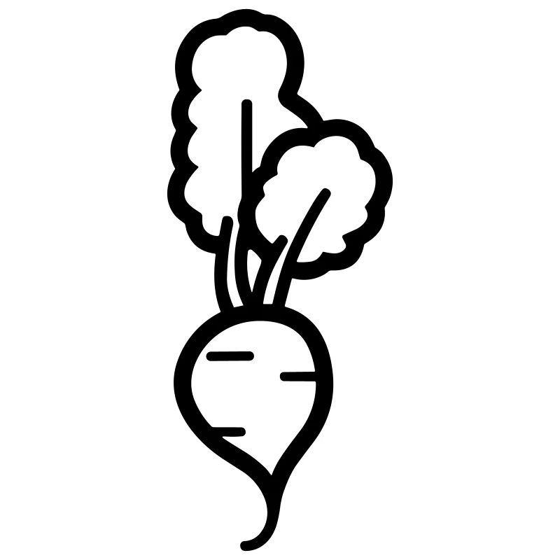 carrot