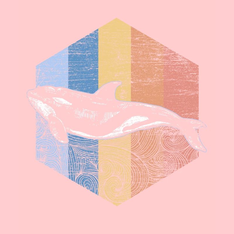 killer whale