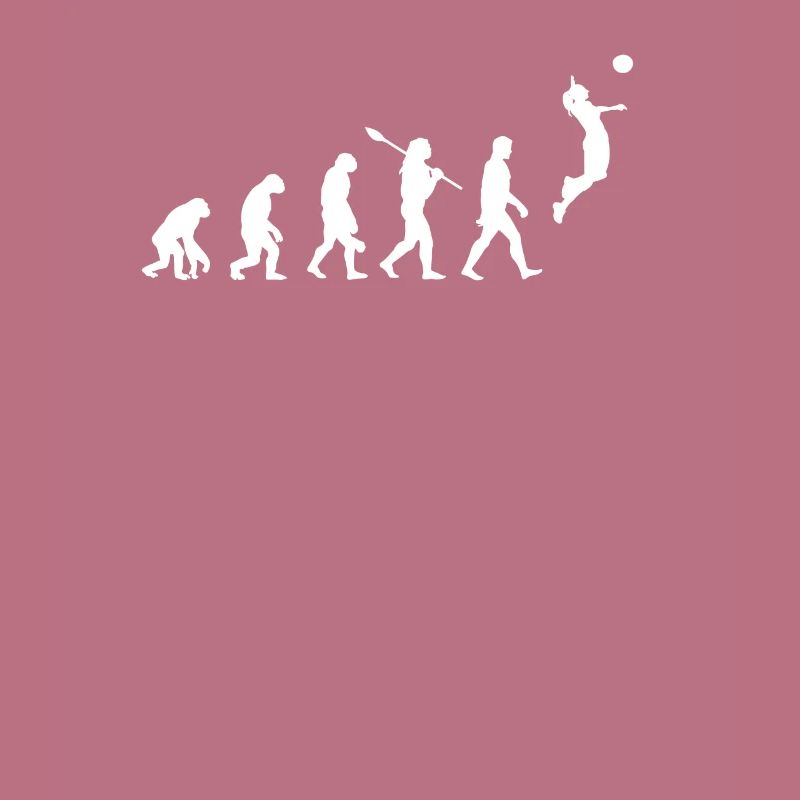 Volleyball Evolution