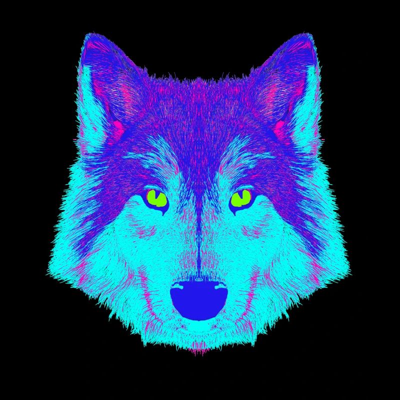 Wolf EDM