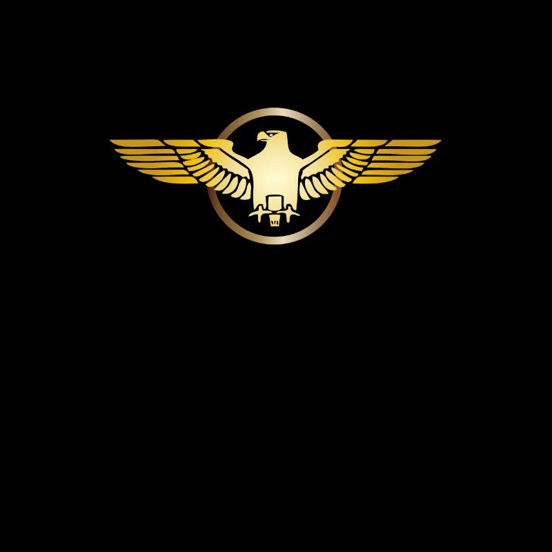 Eagle Golden Eagle Osprey White-tailed Eagle Bird of Prey