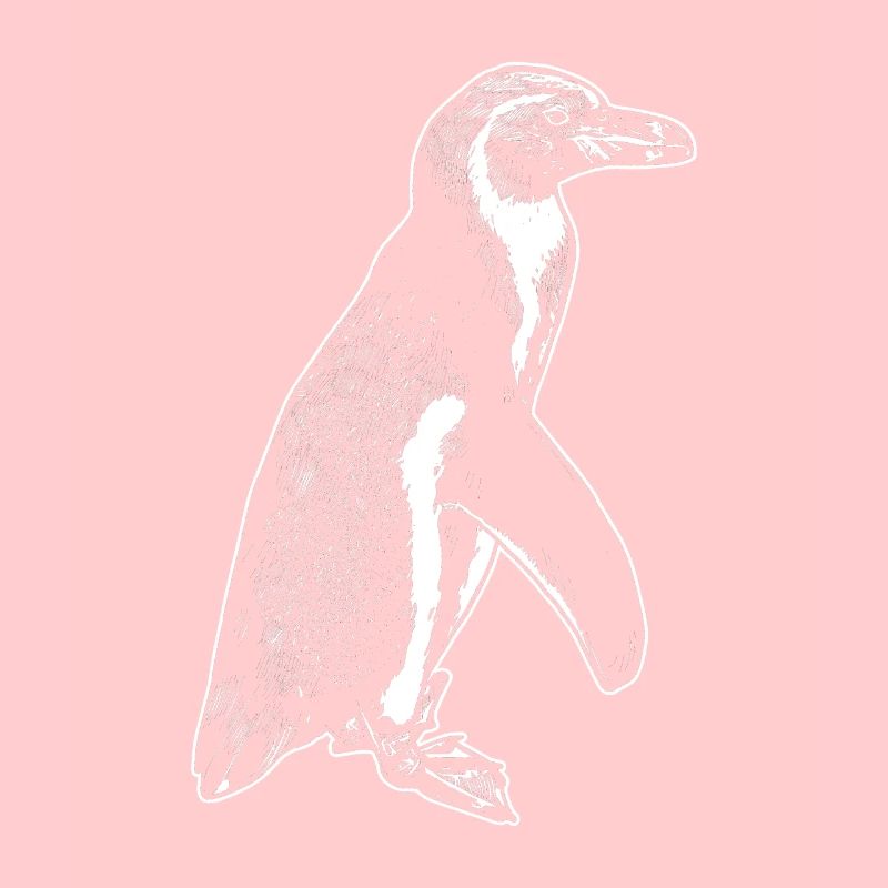 Penguins south pole beak ice floe snow