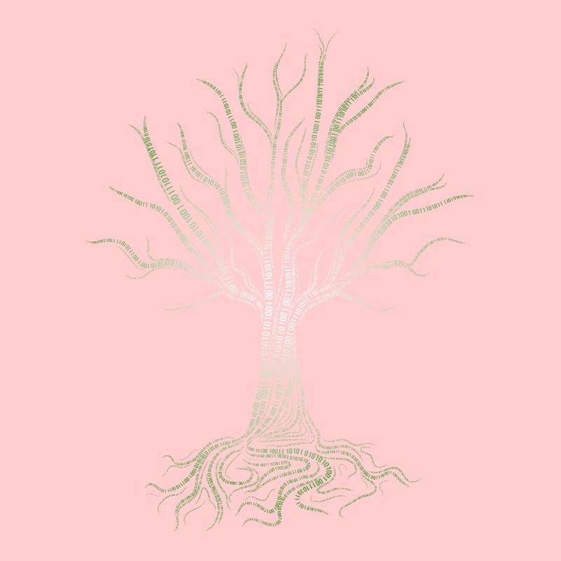 Binary Tree Computer Coding Programmierer