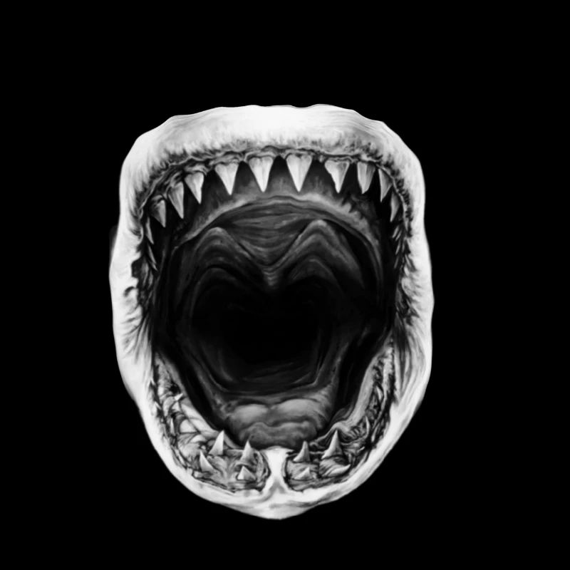 Requin