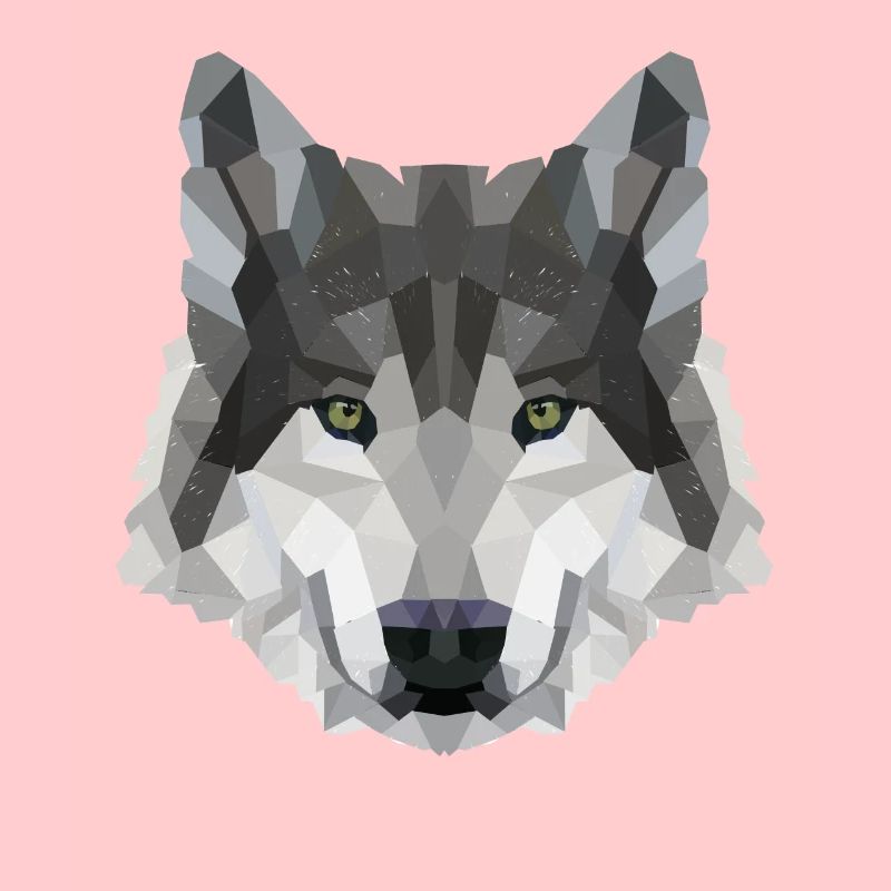 POLYGON WOLF Husky Wölfe Wildtiere Amerika