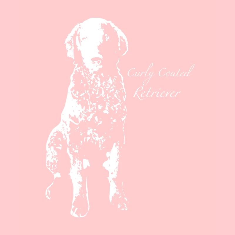 Curly Coated Retrievers