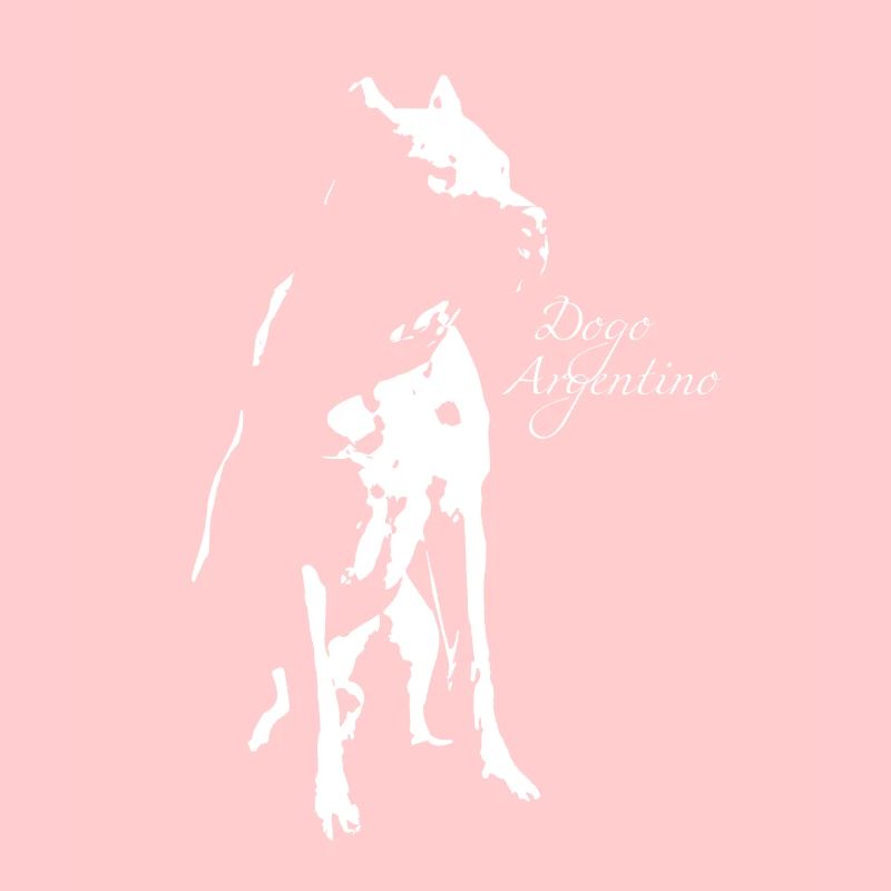 Dogo Argentino