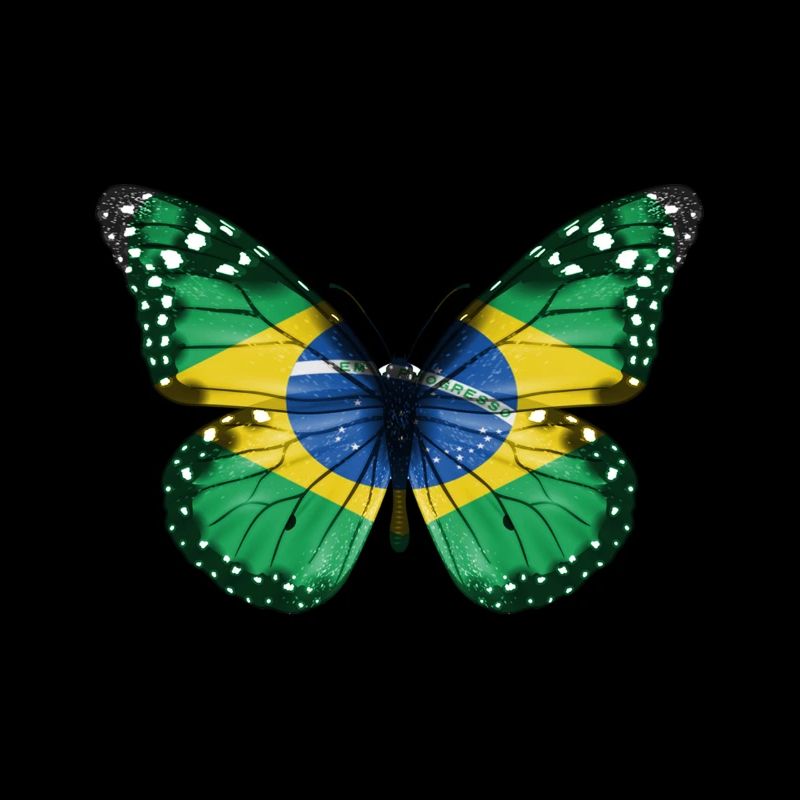 Drapeau papillon du brésil