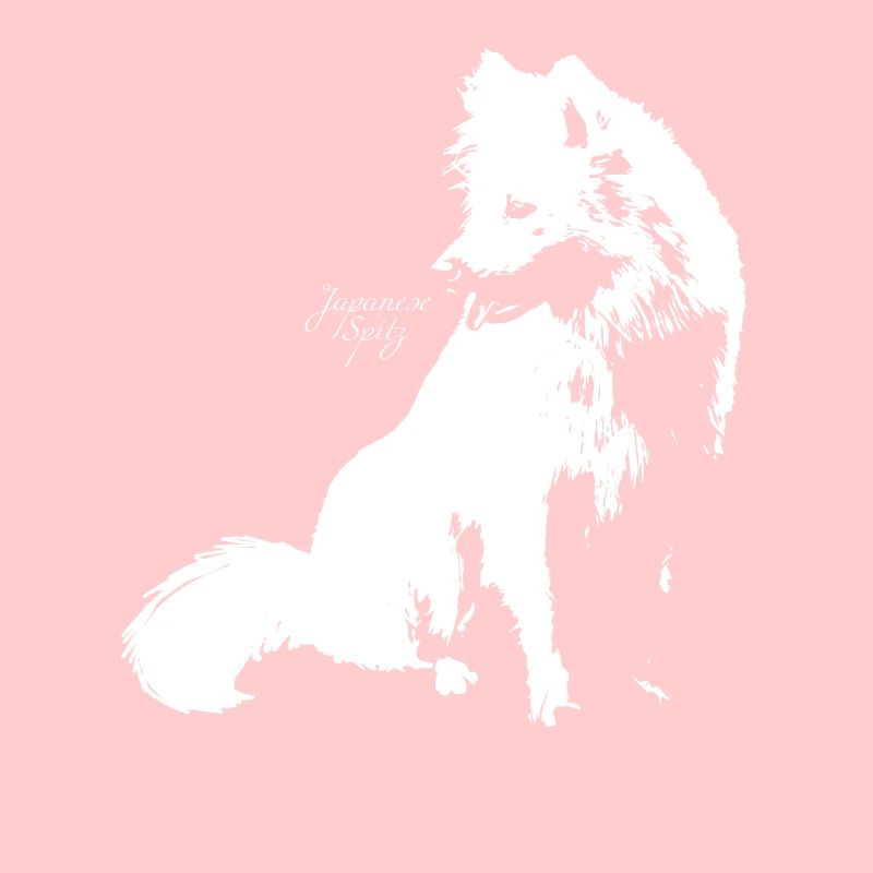 Spitz Japon
