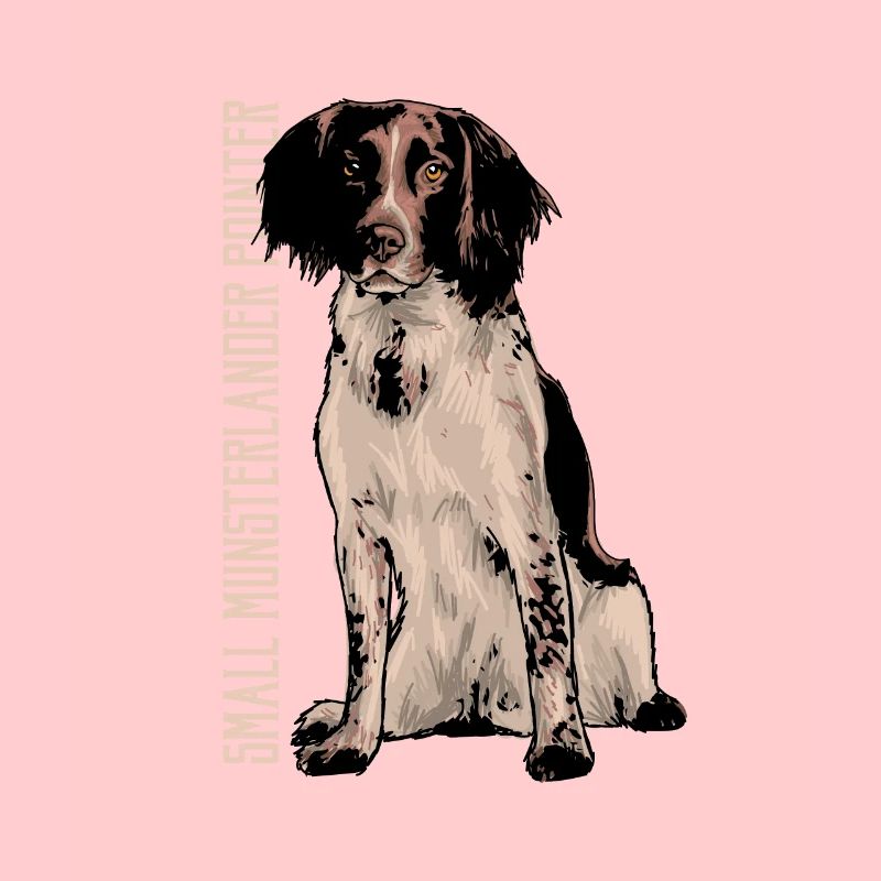 Small Münsterländer