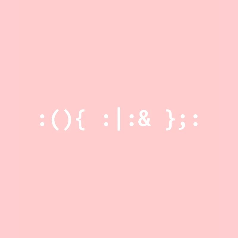 Bash Fork Bomb - Text for Unix/Linux Hackers