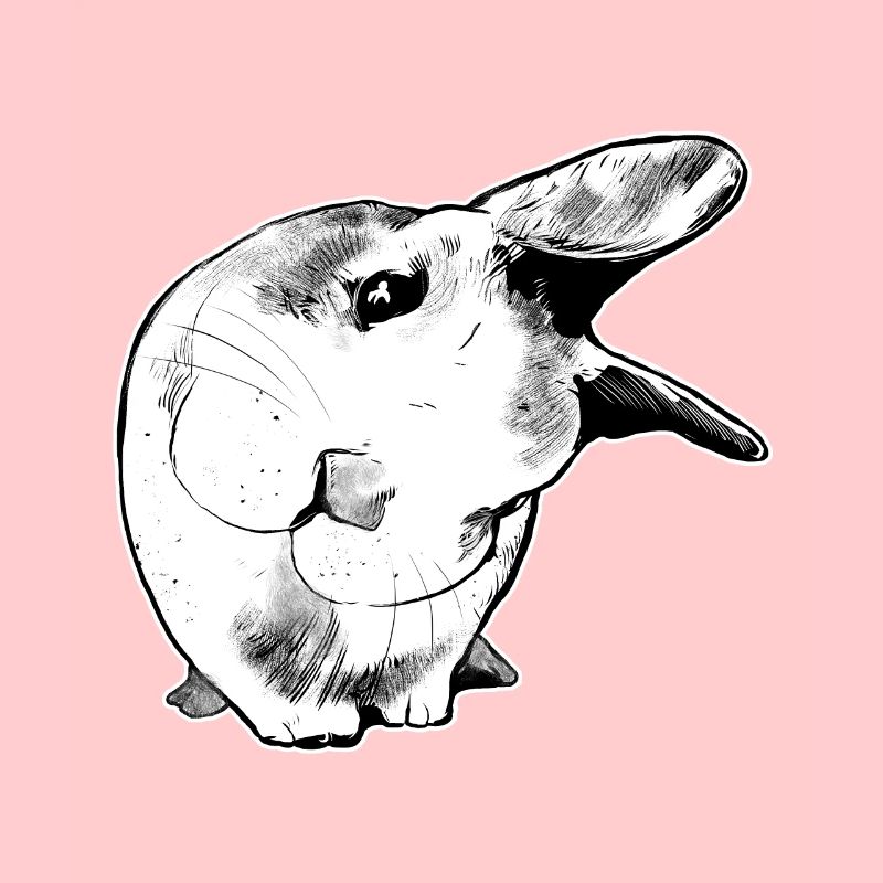 Lapin embrassant un animal mignon