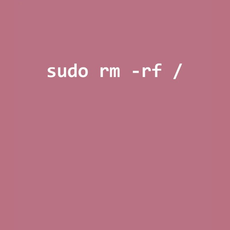 Programmer Sudo Linux