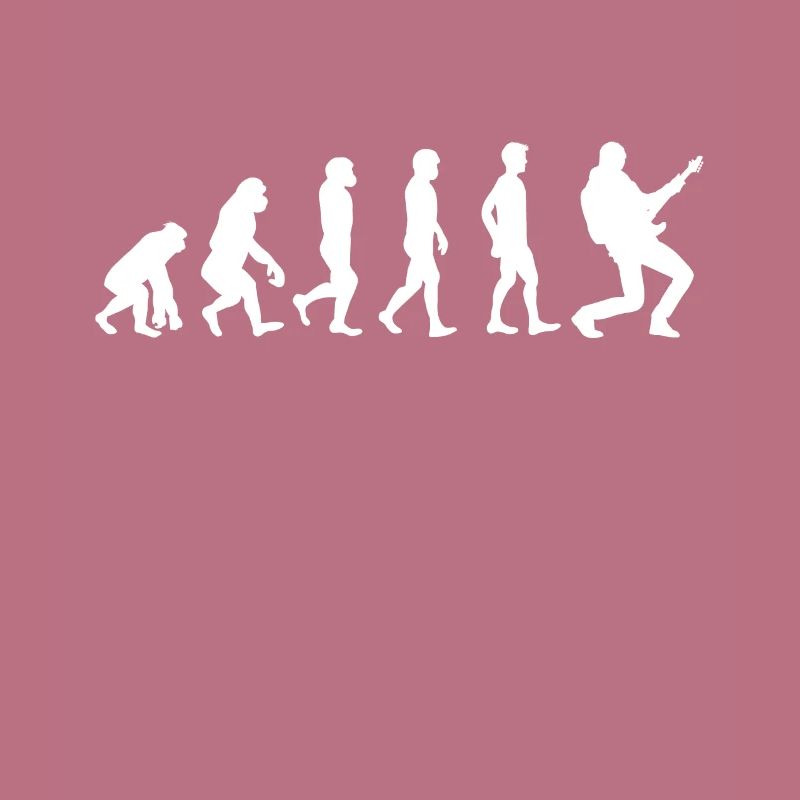 Evolution guitar