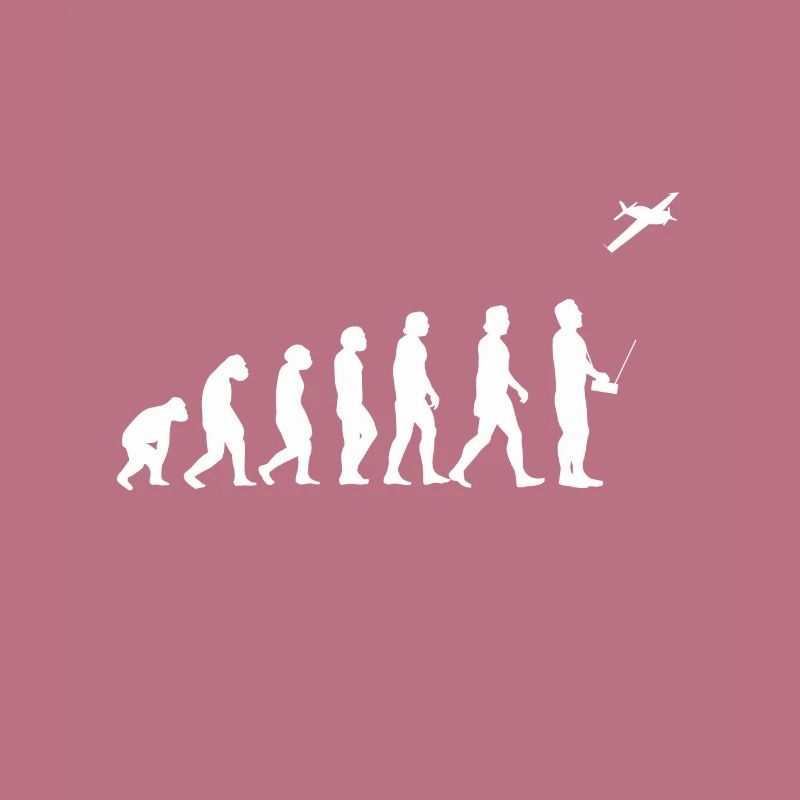 Avion modèle Modellflieger Evolution